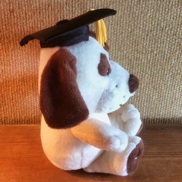 Graduation Dog Puppy Stuffed Animal Plush Dan Dee Collector's Choice Not A Toy - Picture 2 of 5